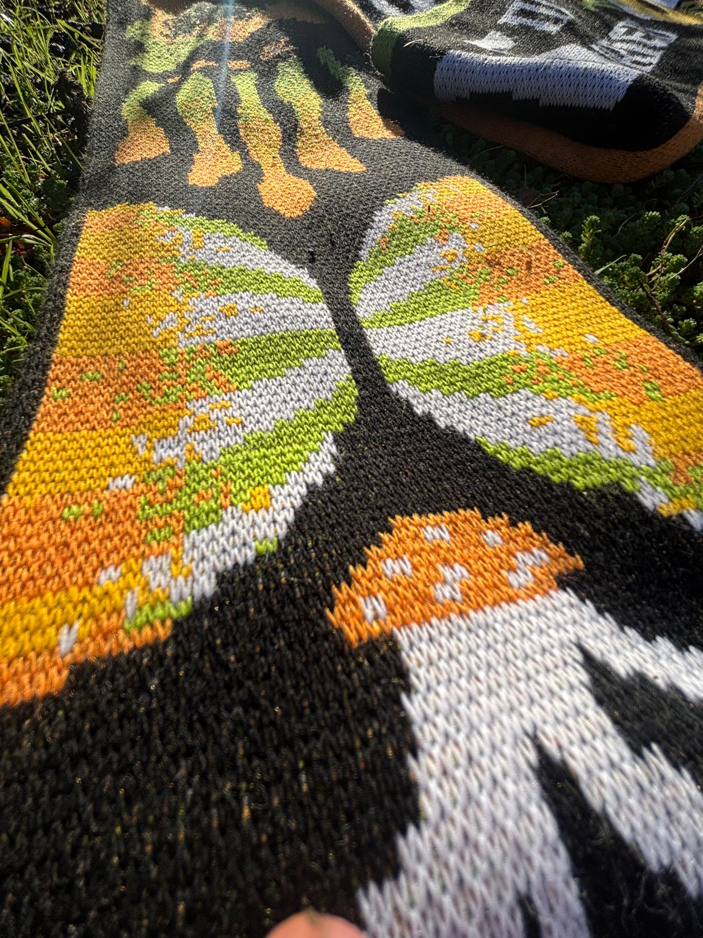 WE ARE THE CHAMPIGNONS - SPECIAL EDITION