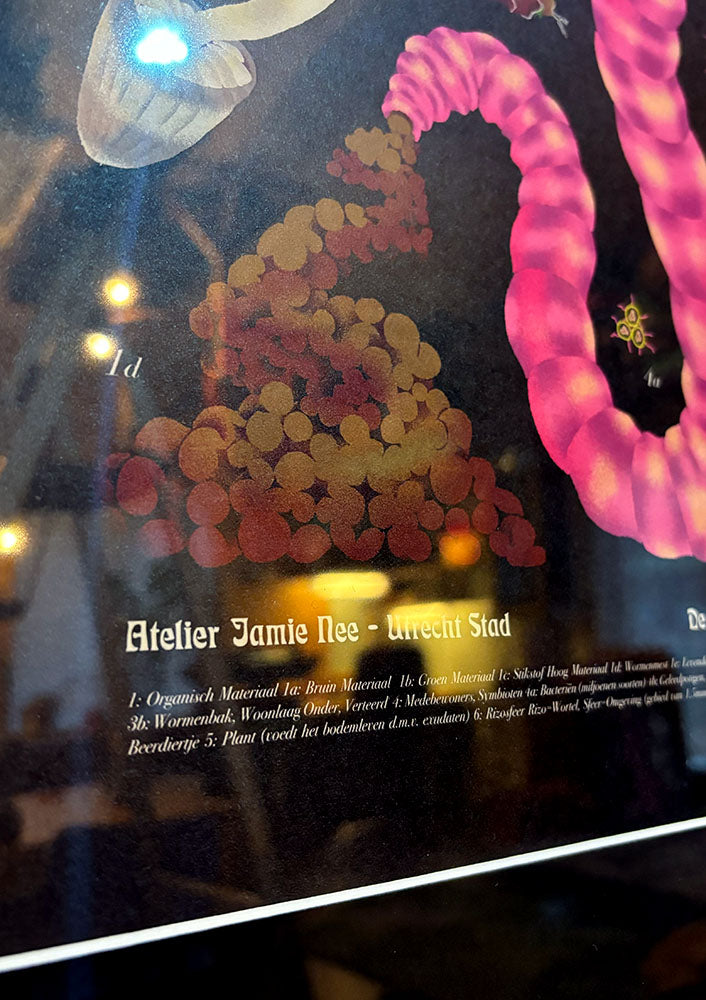 WORM SCHOOL CHART- A2 - digital print