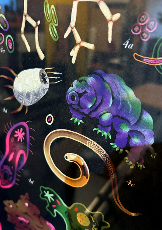 WORM SCHOOL CHART- A2 - digital print