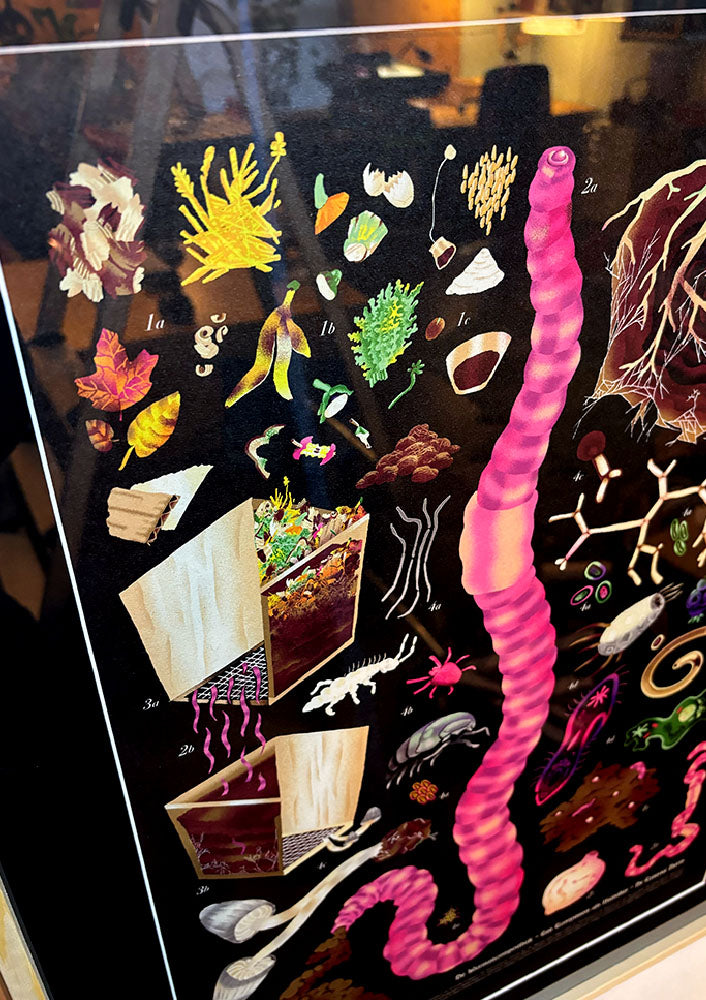 WORM SCHOOL CHART- A2 - digital print