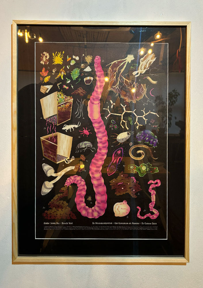 WORM SCHOOL CHART- A2 - digital print