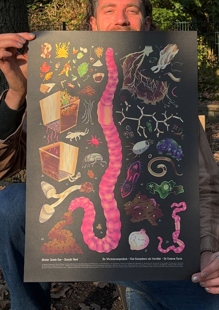 WORM SCHOOL CHART- A2 - digital print